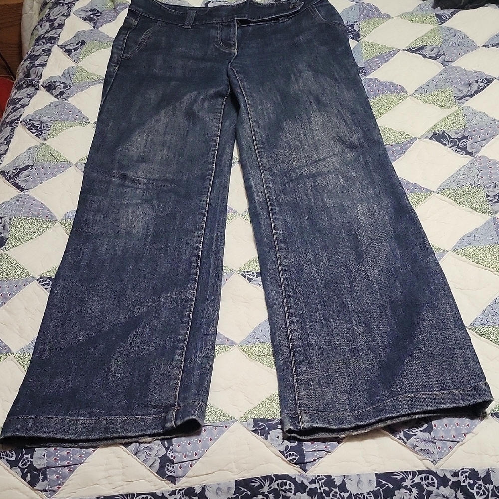 Ann Taylor Blue Jeans